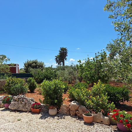Baciati Dal Sole Apartment Martina Franca Bagian luar foto